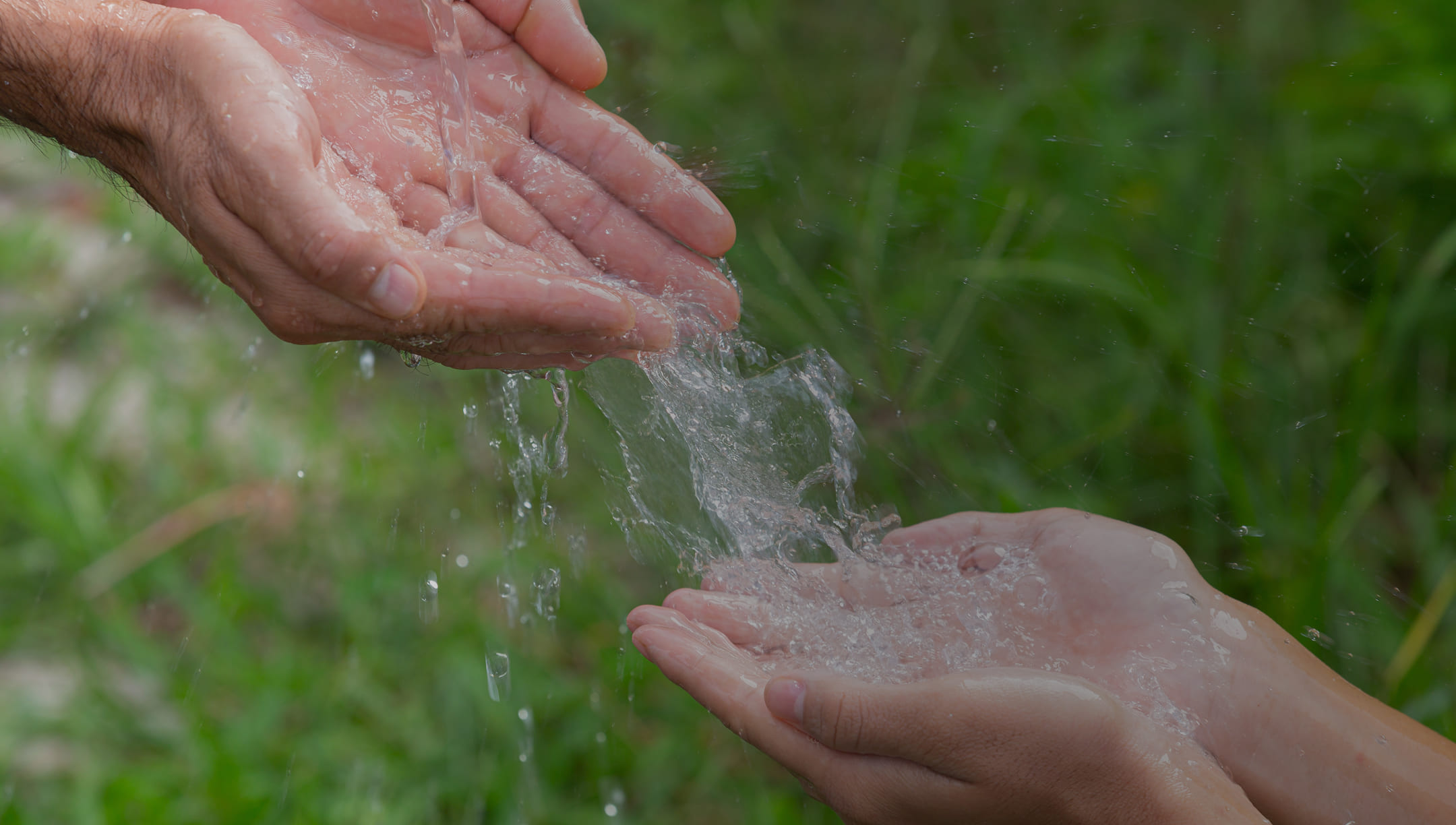 Water-Loss Harvesting